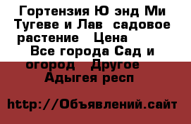 Гортензия Ю энд Ми Тугеве и Лав, садовое растение › Цена ­ 550 - Все города Сад и огород » Другое   . Адыгея респ.